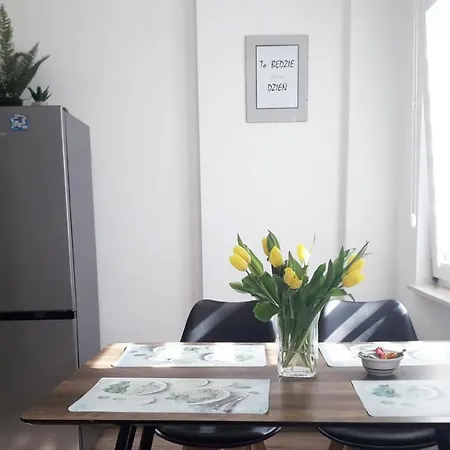 Centrum Przy Maxie, Blisko Pkp I Rynku, Sklepy I Restauracje W Poblizu, Faktura, English, Pelne Wyposazenie Appartement